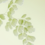 WARSZTATY TERAPII AKCEPTACJI I ZAANGAŻOWANIA – dla osób chorych onkologicznie. luty / marzec 2025